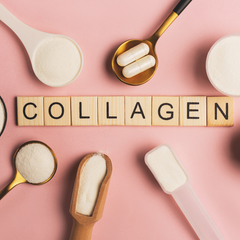 Does Tallow Contain Collagen or Support Its Production?