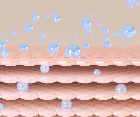 collagen within the skin